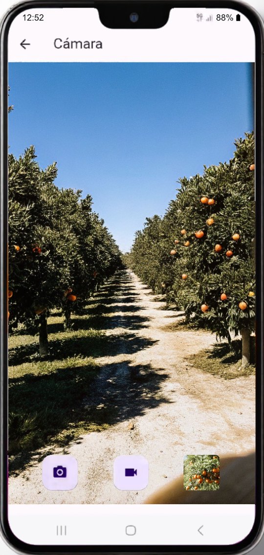 Pantalla de cámara de la app T3 AI SAT sobre una plantación de cítricos, con los botones de foto y vídeo.