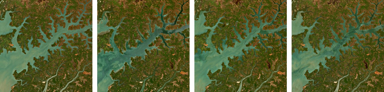 Cuatro recortes del mismo trozo de la ría del Rio Grande de Buba en cuatro fechas. El primero, el tercero y el cuarto se parecen entre sí: el canal principal y sus rías laterales están llenos de agua clara y lechosa, de un turquesa muy pálido que se extiende por todo el estuario. El segundo es distinto: el mismo canal aparece de un azul verdoso oscuro, con los bordes nítidos y el agua mucho más limpia. El dibujo de la costa es prácticamente igual en los cuatro.