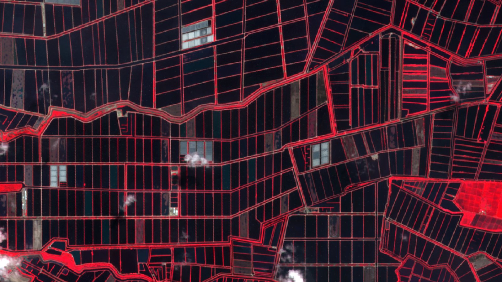 Recorte Sentinel-2 en falso color de un bloque de balsas de acuicultura al este del río Guayas el 19 de junio de 2026. Casi todo el encuadre es una retícula de rectángulos oscuros separados por muros que salen como líneas rojas finas. Unos pocos rectángulos aparecen en gris azulado claro, que es el fondo de balsa sin agua. Hay media docena de nubes pequeñas repartidas por el encuadre.