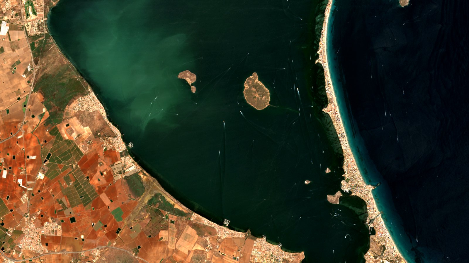 Escena Sentinel-2 en color real del Mar Menor y La Manga el 29 de agosto de 2026. En el tercio izquierdo, la llanura agrícola del Campo de Cartagena, con parcelas ocres y rojizas. En el centro, la laguna verde oscura del Mar Menor, con varias islas pardas dentro y decenas de estelas blancas de embarcaciones cruzándola. La cierra por el este la barra de arena de La Manga, una cinta blanca y urbanizada de norte a sur. En su cara mediterránea corre una franja de agua clara y turquesa de poco fondo pegada a la playa, que da paso enseguida al azul muy oscuro del mar abierto, también surcado de estelas.