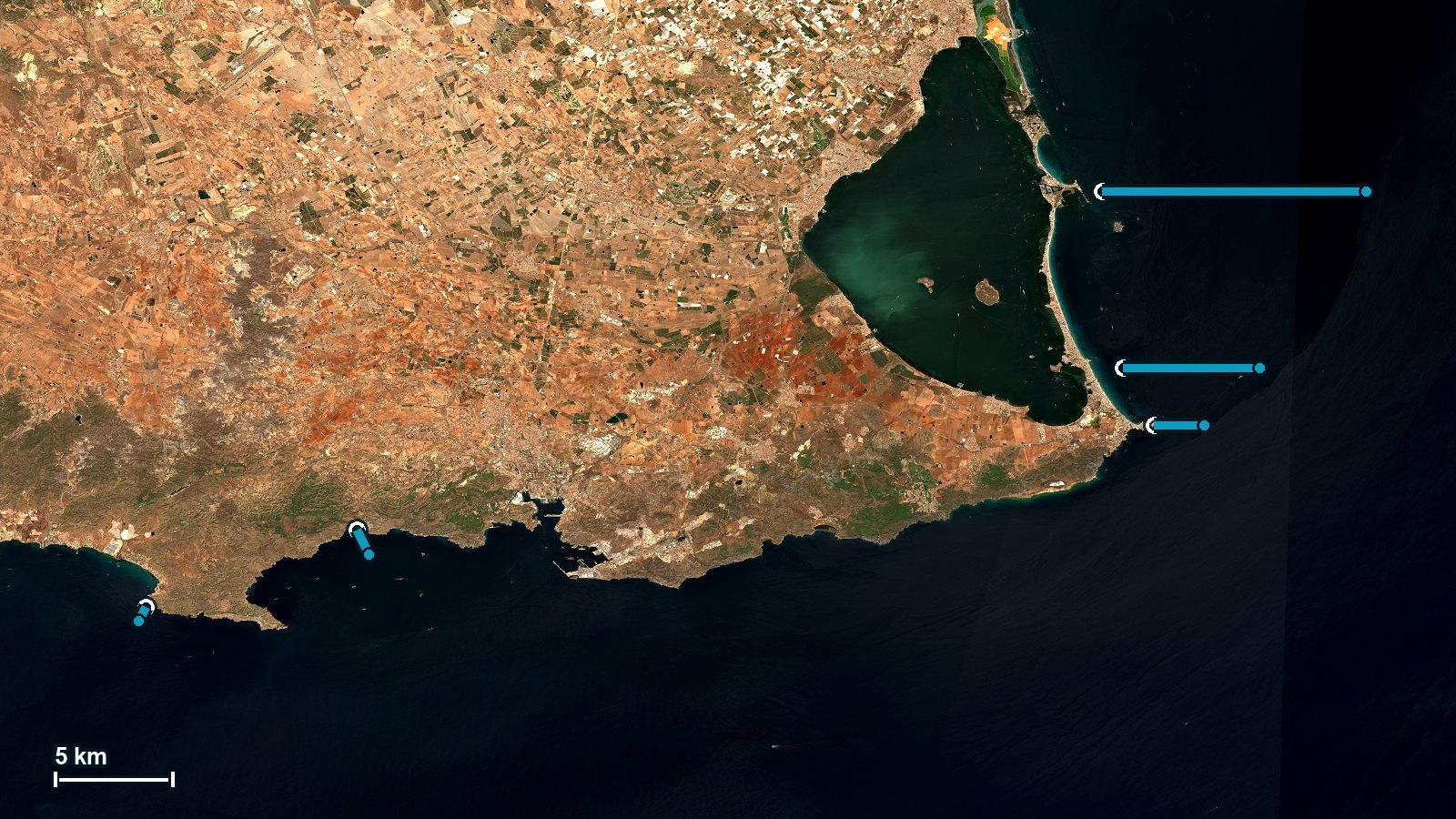Escena Sentinel-2 en color real del litoral de Cartagena el 29 de agosto de 2026, de La Azohía a La Manga. La mitad superior es tierra: el Campo de Cartagena en ocres y rojizos, con parcelas regulares, y sierras pardas hacia el suroeste. Arriba a la derecha, la laguna del Mar Menor en verde intenso, cerrada por la cinta blanca y urbanizada de La Manga. En la cara mediterránea de esa cinta corre una franja de agua clara y turquesa de poco fondo. Al suroeste, en cambio, el azul marino del mar abierto empieza casi en la propia orilla. Encima van dibujadas las cinco medidas: un anillo blanco en cada arranque y, saliendo de él, una línea cian con el rumbo y la longitud reales hasta el fondo de 64 metros. Solo tres salen del anillo, y esa es la cuestión del artículo: la del norte de La Manga cruza casi la quinta parte del ancho de la imagen, la del sur de La Manga la mitad de esa, y la de Cabo de Palos es corta. Las dos del suroeste, en La Azohía y El Portús, miden ochocientos metros y kilómetro y medio, así que a esta escala apenas sobresalen del anillo que las marca. Abajo a la izquierda hay una barra blanca de cinco kilómetros para medirlas. En el borde derecho el mar se ve más oscuro: es la costura entre dos gránulos de la misma toma, no falta de dato.