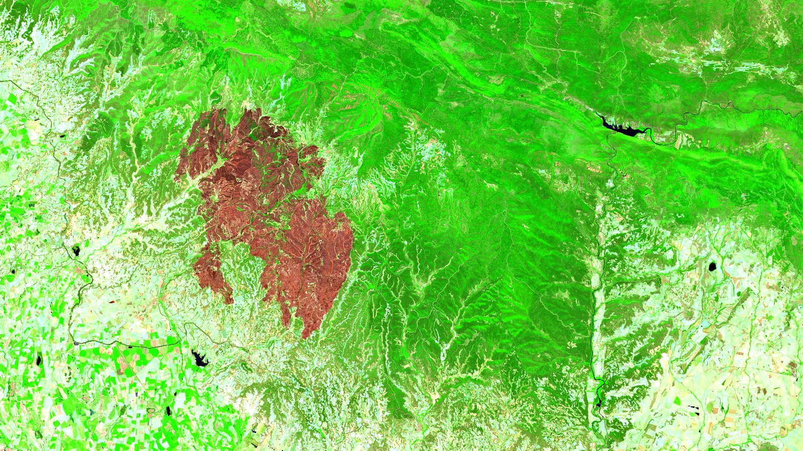 Escena Sentinel-2 de las Cinco Villas (Zaragoza) el 23 de julio de 2026, en composición SWIR, NIR y rojo. En el centro izquierda destaca una gran mancha compacta de color marrón rojizo oscuro, la cicatriz del incendio, rodeada de vegetación en verde intenso. Hacia el sur y el oeste el terreno es un mosaico claro de campos de secano en tonos pajizos, con pequeños embalses y ríos en azul oscuro casi negro. No hay nubes ni humo.