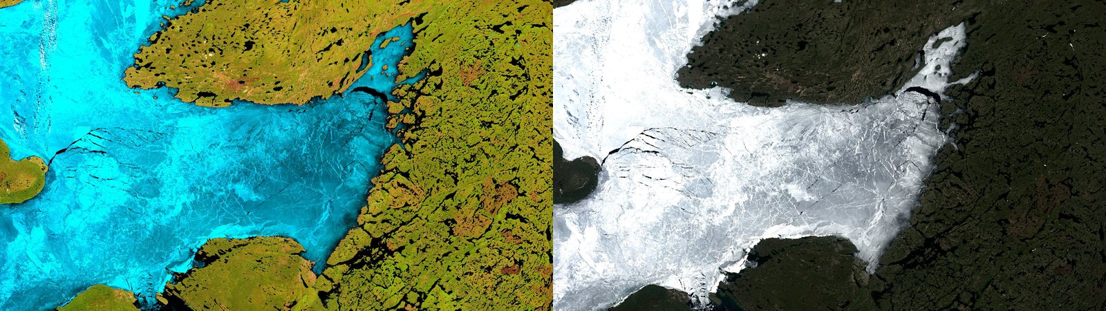 Two versions of the same piece of Great Bear Lake, side by side. On the left, in false color, the ice is bright turquoise, the land olive green with orange patches, the water black: ice, land, bare rock and water separate at a glance. On the right, in true color, the same ice is a uniform white and gray mass, the land is very dark green close to black, and water blends into land. The fractures show in both, but the boundaries between surfaces only read clearly on the left.