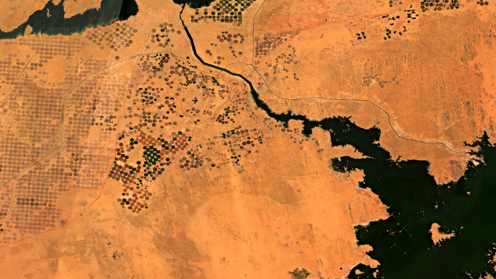 Escena Sentinel-2 en color real del sur de Egipto recreada por T3 AISAT. Cientos de círculos de riego por pivote central salpican el desierto ocre: unos verdes, en cultivo activo, y la mayoría en tonos pardos, ya cosechados o en barbecho. A la derecha, el agua oscura del lago Nasser; un canal cruza los campos como una línea fina y negra.