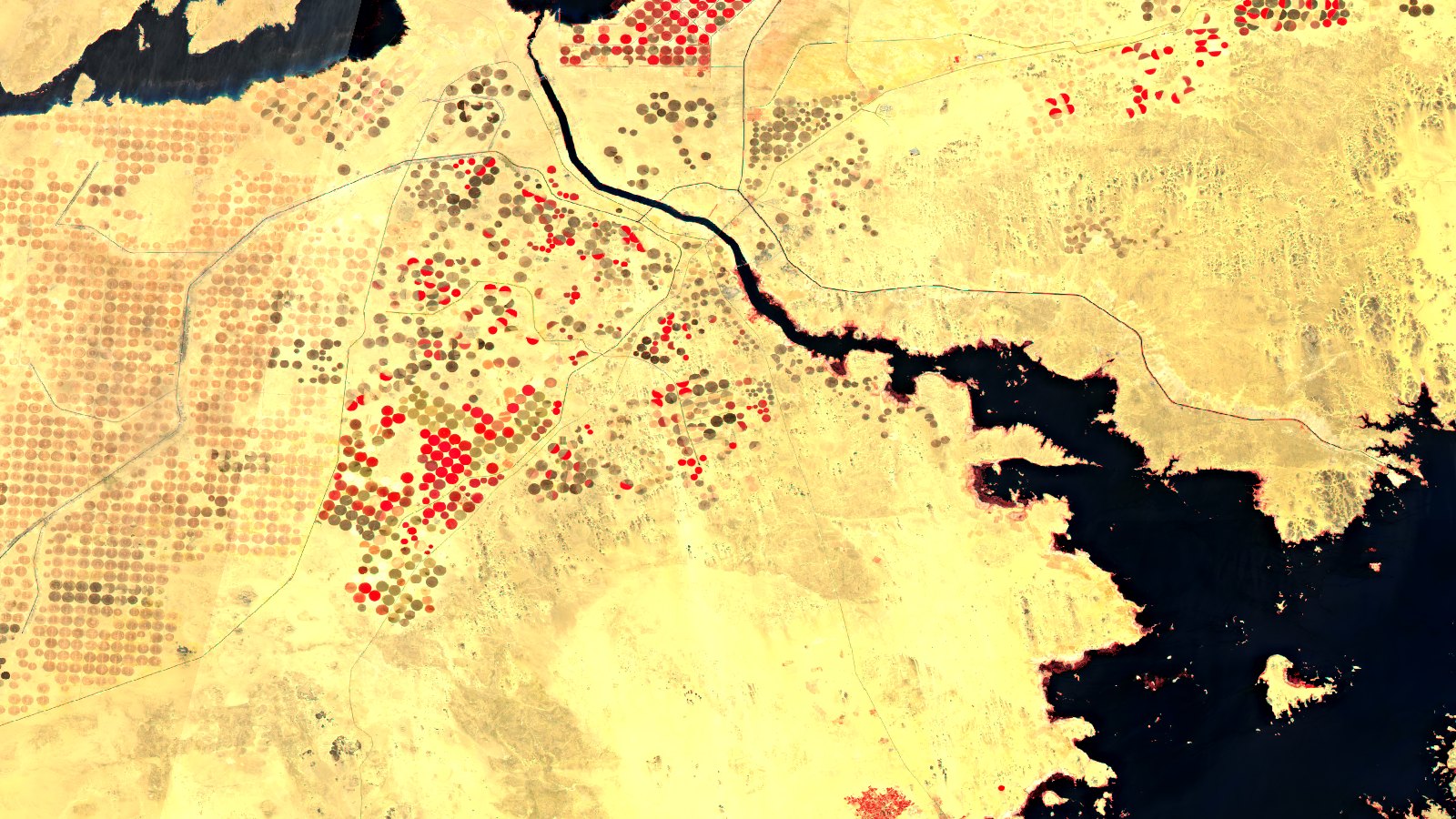 La misma escena de Toshka en falso color: el desierto en tonos pálidos y los círculos de pivote en cultivo activo encendidos en rojo intenso, mucho más fáciles de distinguir que en color real. El agua del lago Nasser sigue en negro.