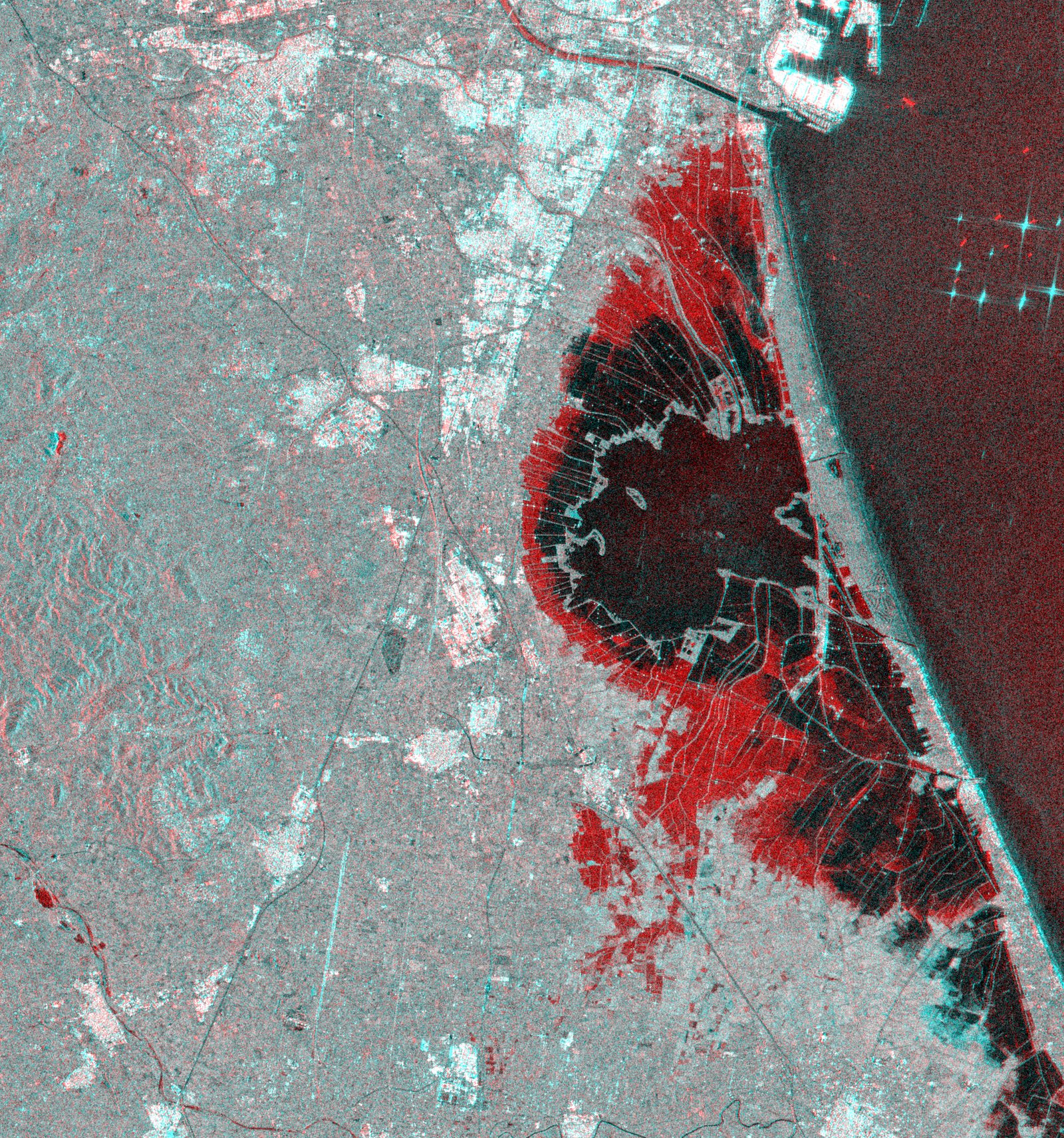 Composición de cambio radar de la huerta sur de Valencia y l'Albufera: en rojo, las superficies donde la retrodispersión cae tras la DANA de octubre de 2024, la lámina de agua nueva
